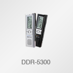 DDR-5300